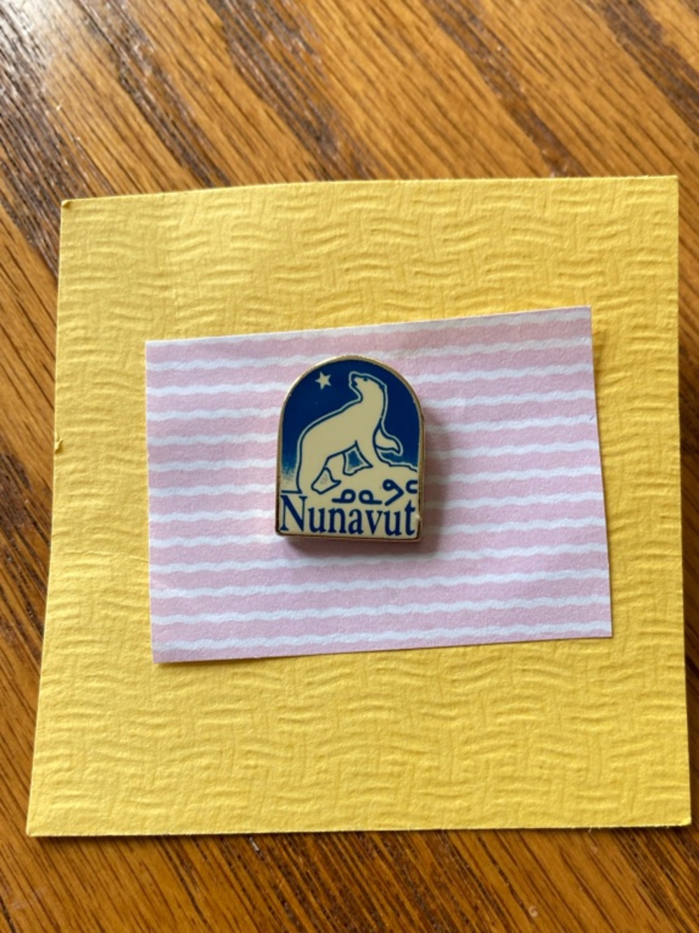 2/$20 Nunavut Polar Bear Enamel Pin in Navy and Cream